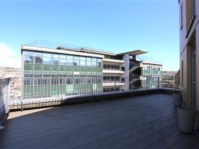 Picture 7